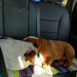 Meet your Posher, Carmella